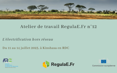 L’Autorité de régulation du secteur de l’électricité (ARE) de la République démocratique du Congo accueillera l’atelier d’été de RegulaE.Fr. à Kinshasa